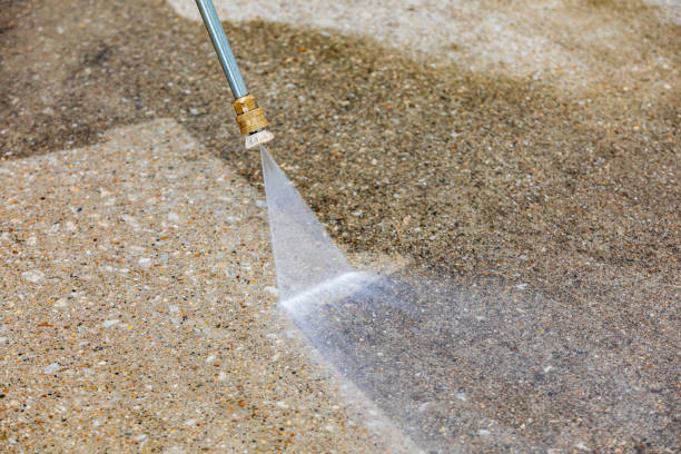 Best Residential Pressure Washing in Leland Grove, IL